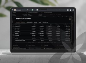 Lista de Cotizaciones Xymmetry