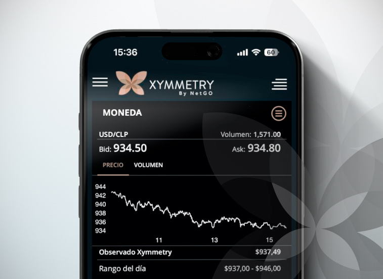 Widget de monedas Xymmetry