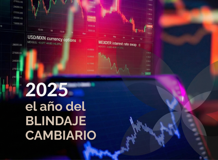 Balance derivados en México 2025