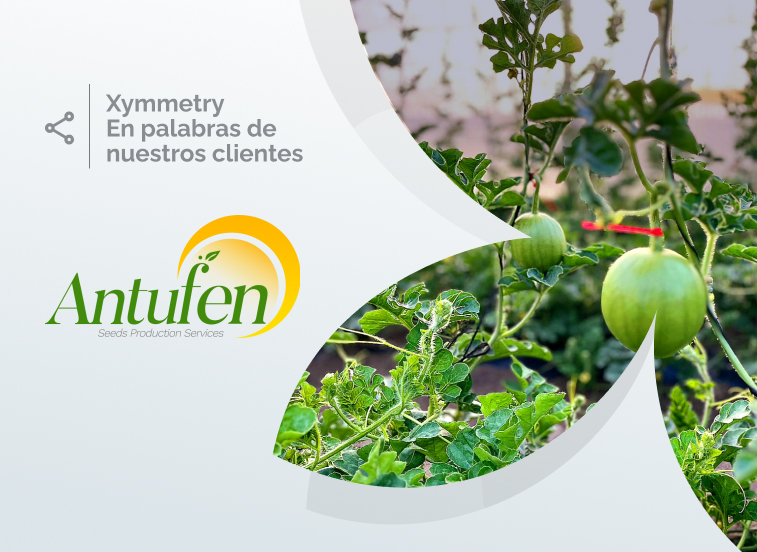 Caso de éxito de Xymmetry -Antufen