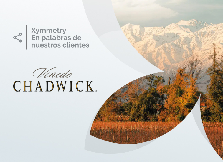 Viñedo Chadwick