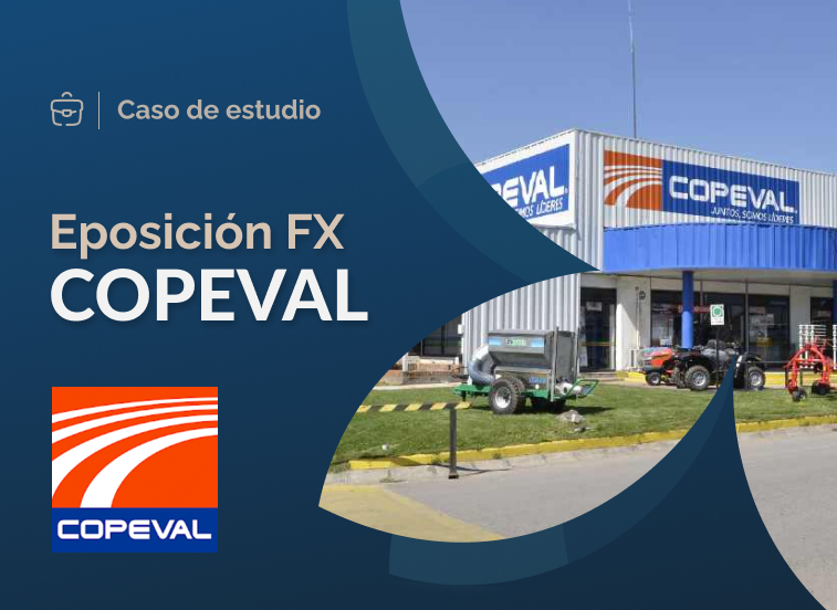 Caso de estudio Exposición FX Copeval